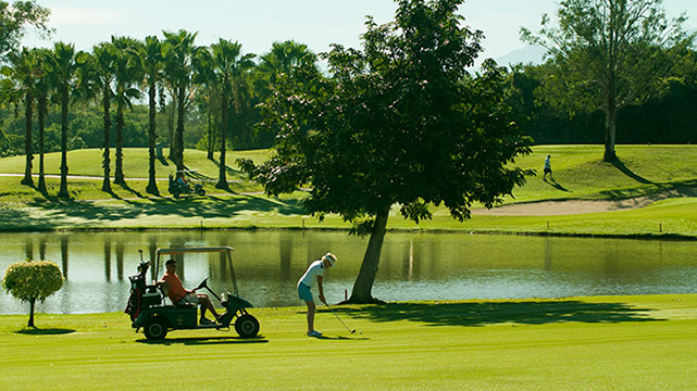 Flamingos golf course