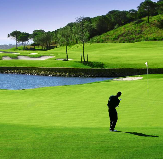 nayar vidanta golf course